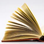 Inilah Makna Kata ‘Galgah’, Baru Masuk di KBBI